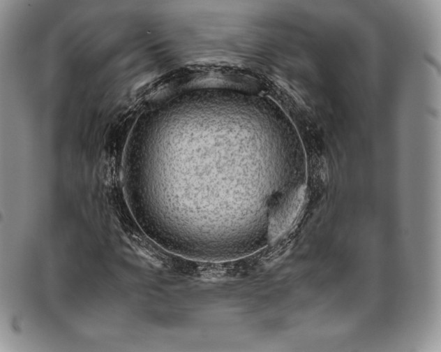 X0000094800965200711301536