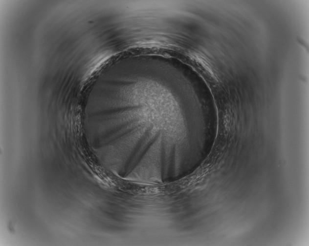 X0000094800968200711301536