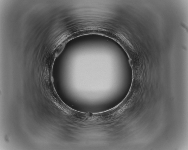 X0000094800969200711301536