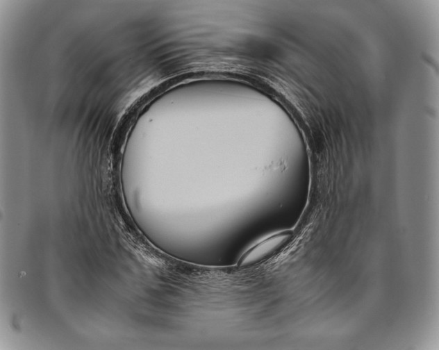 X0000094800971200711301536
