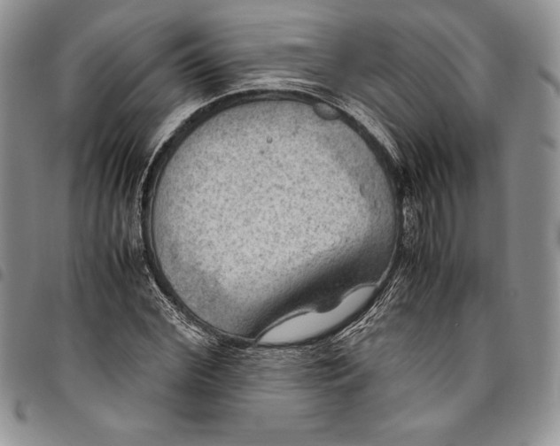 X0000094800972200711301536