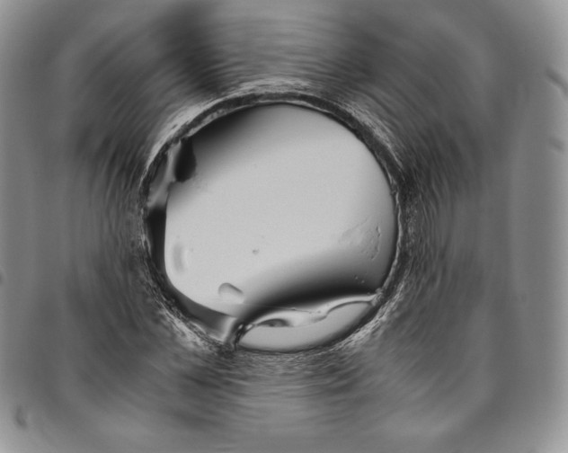X0000094800973200711301536