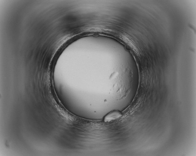 X0000094800976200711301536