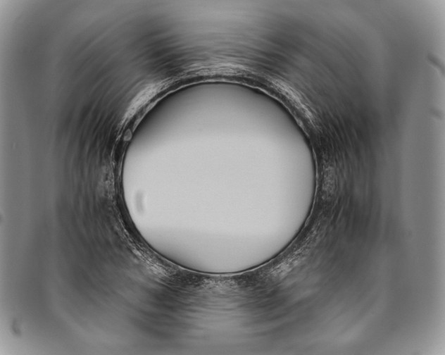 X0000094800978200711301536