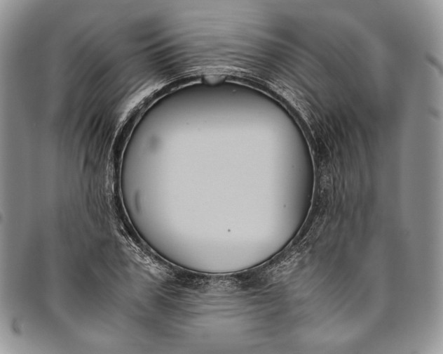 X0000094800979200711301536