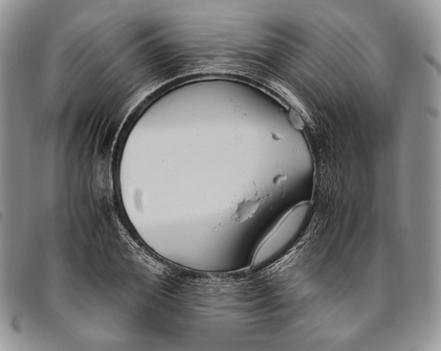 X0000094800980200711301536