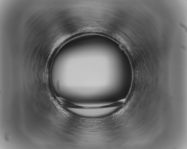 X0000094800981200711301536