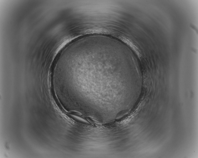 X0000094800983200711301535