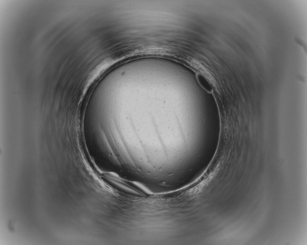 X0000094800989200711301535