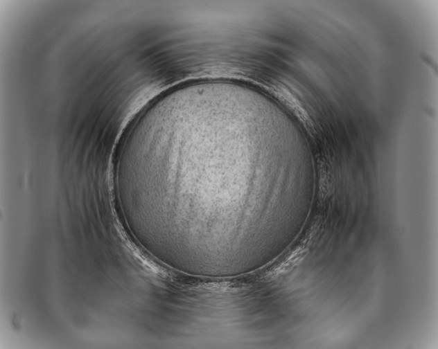 X0000094800990200711301535