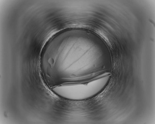 X0000094800992200711301535