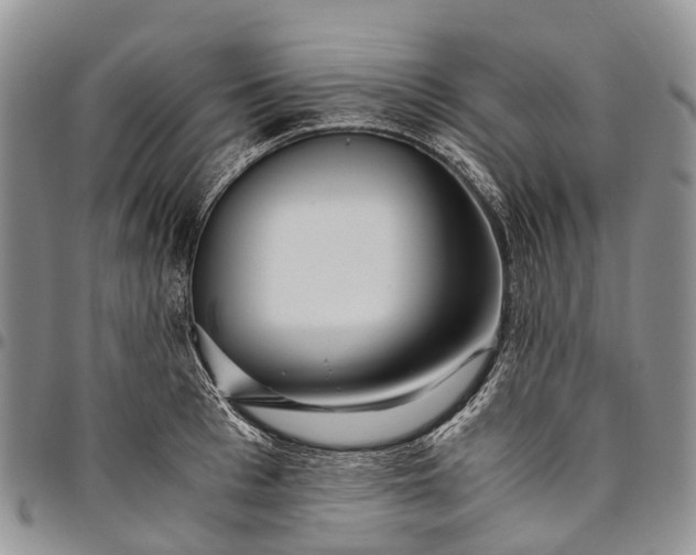 X0000094800993200711301535