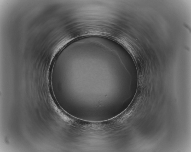 X0000094800995200711301535