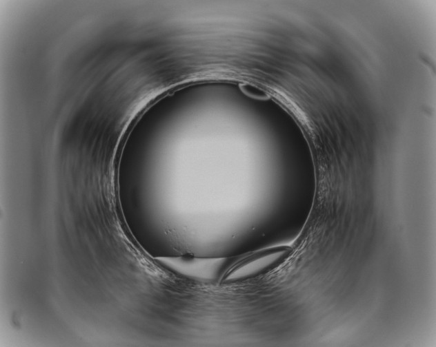 X0000094800996200711301535