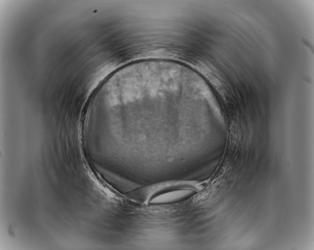 X0000094800998200711301535