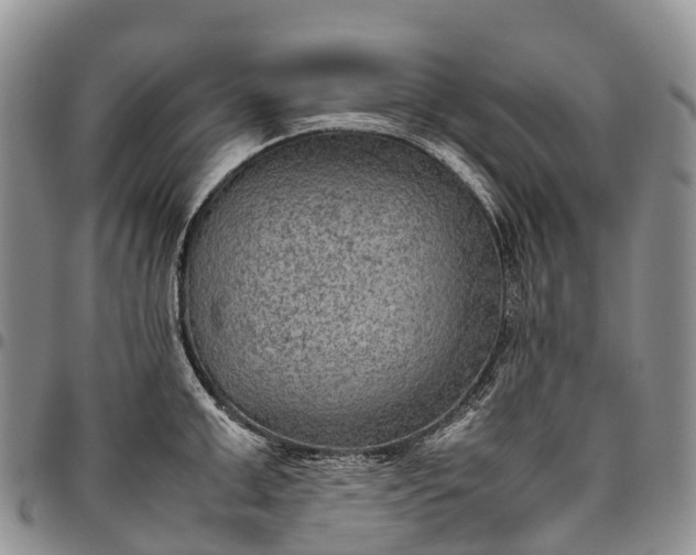 X0000094800999200711301535