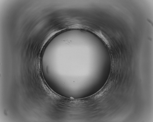 X0000094801000200711301535