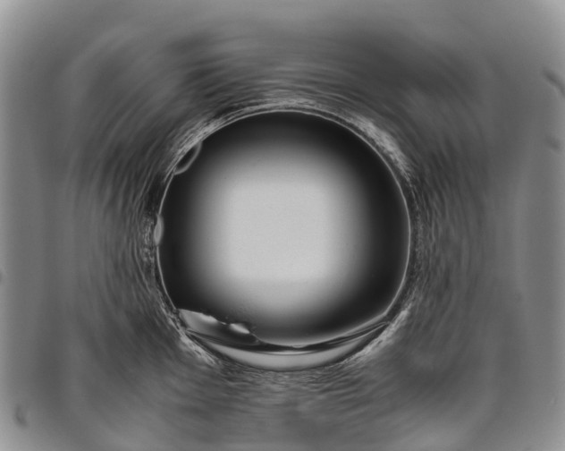 X0000094801001200711301535