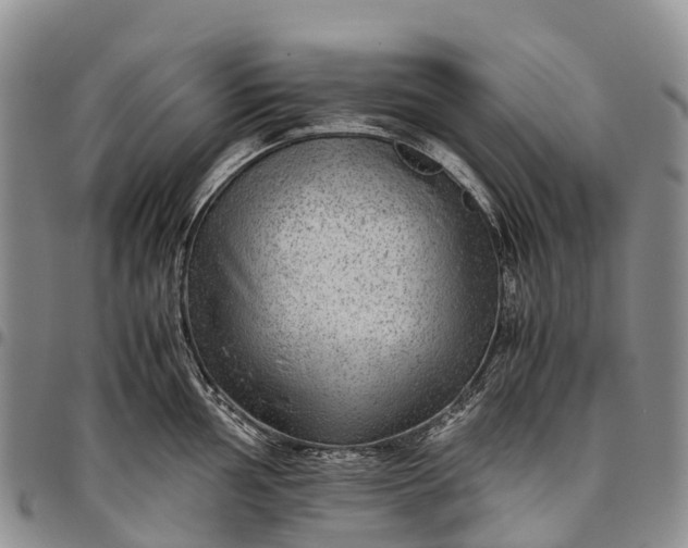 X0000094801002200711301535