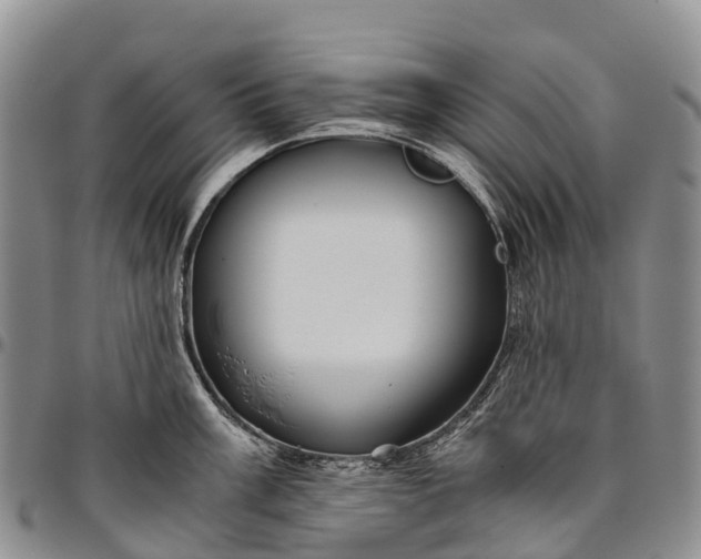 X0000094801003200711301535