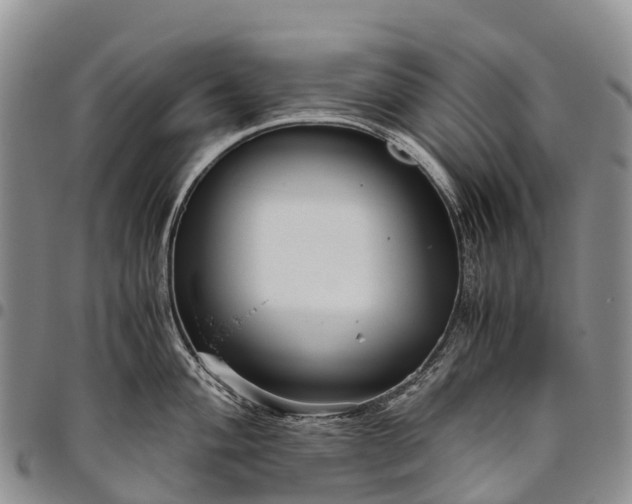 X0000094801004200711301535