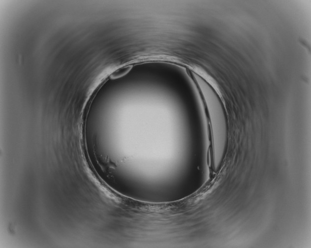 X0000094801005200711301535