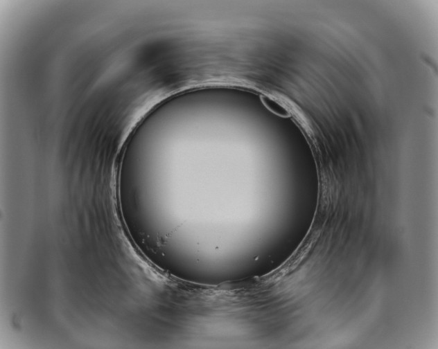 X0000094801006200711301535