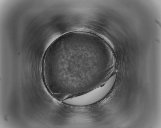 X0000094801007200711301535