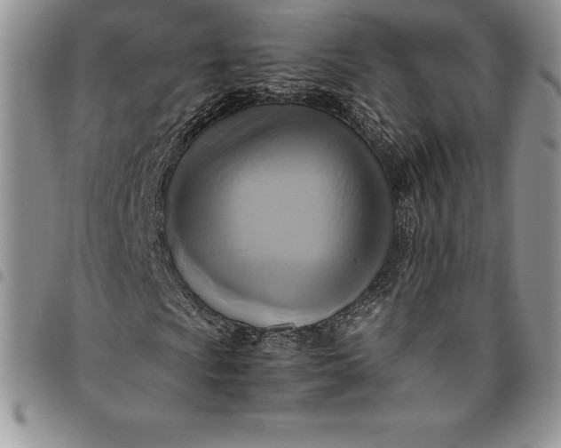 X0000094801009200711301535