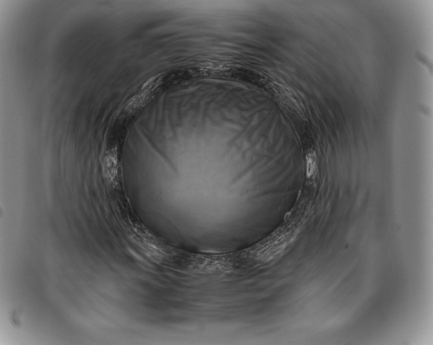 X0000094801011200711301535