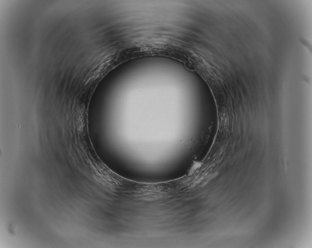 X0000094801012200711301535
