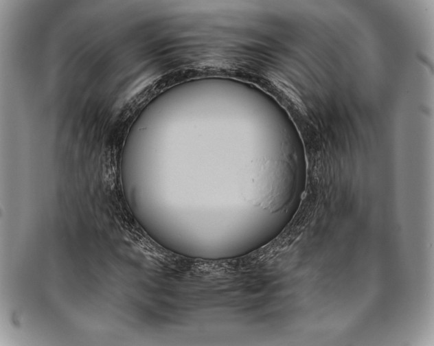 X0000094801015200711301535