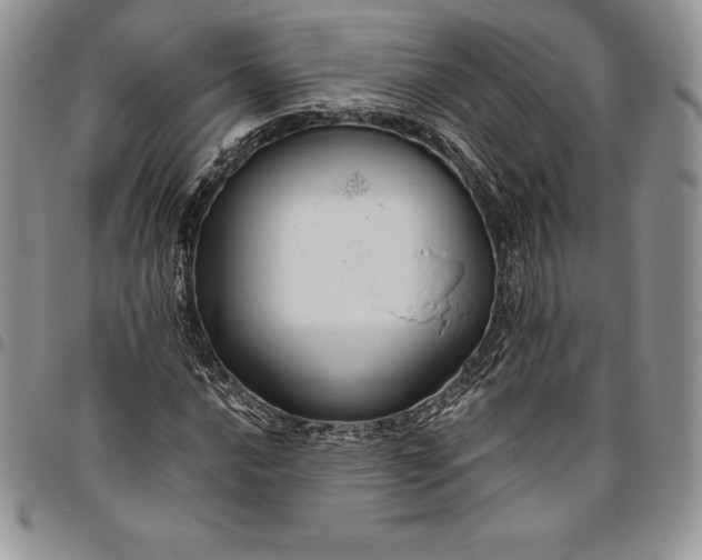 X0000094801016200711301535