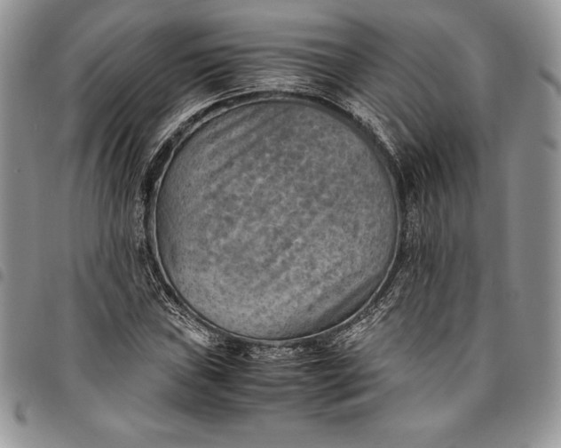 X0000094801019200711301535