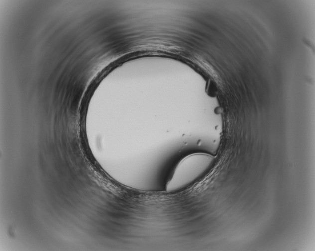 X0000094801020200711301535