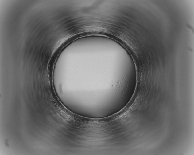 X0000094801022200711301535
