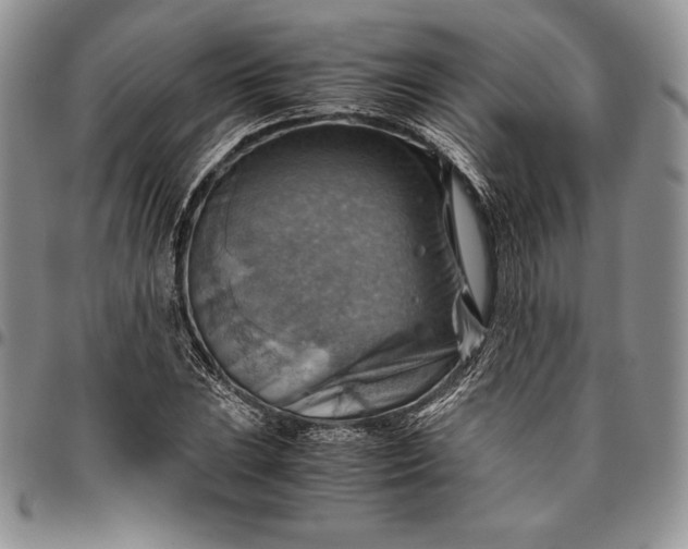 X0000094801023200711301535