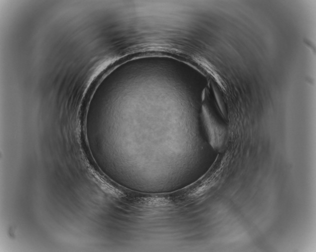 X0000094801024200711301535