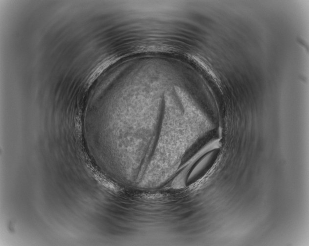 X0000094801025200711301535