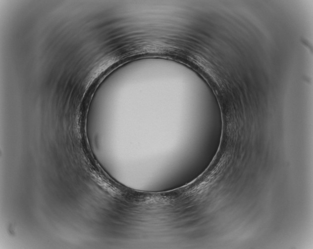 X0000094801026200711301535