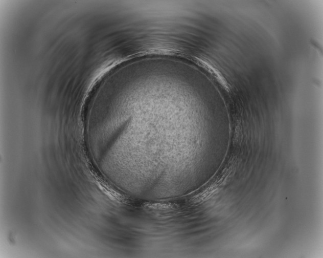 X0000094801027200711301535