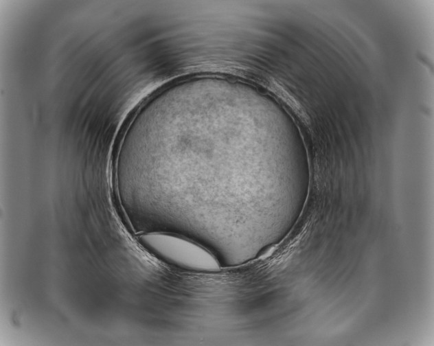 X0000094801028200711301535