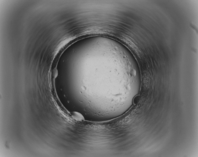 X0000094801030200711301535