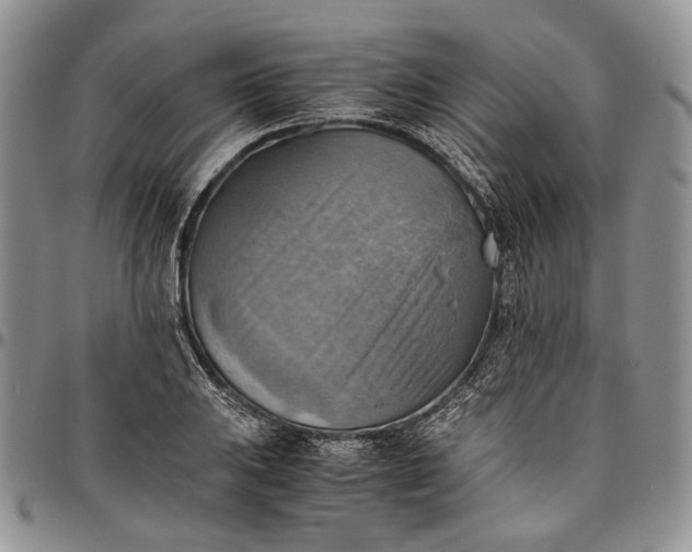 X0000094801031200711301535