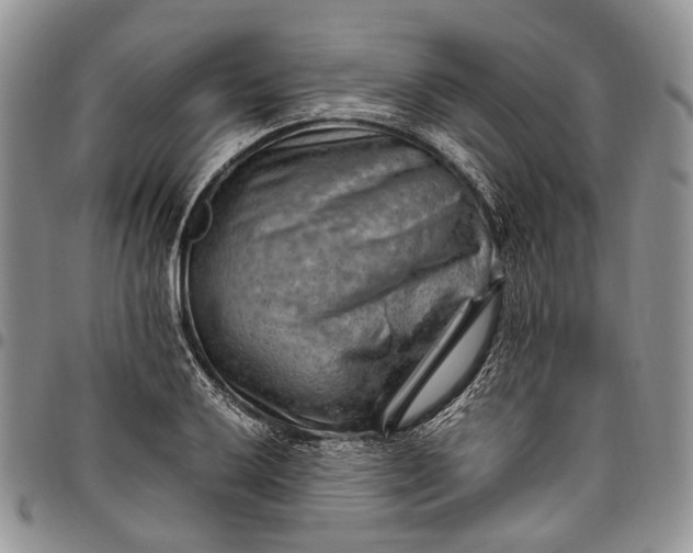 X0000094801032200711301535