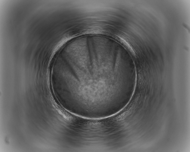X0000094801035200711301535