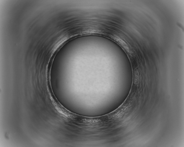 X0000094801039200711301535