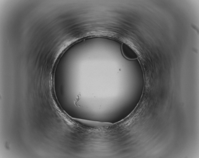 X0000094801040200711301535