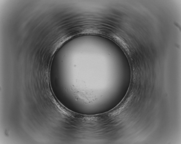 X0000094801041200711301535