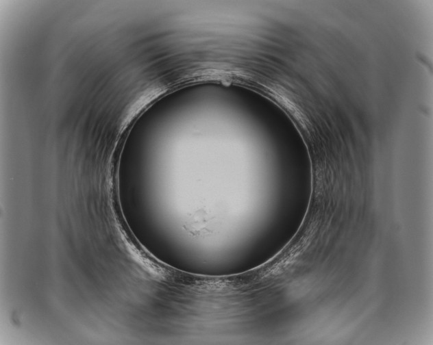 X0000094801042200711301535